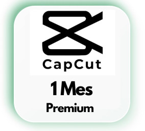 a.Capcut PRO 1 mes