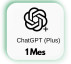 Chat GPT PLUS 1 mes